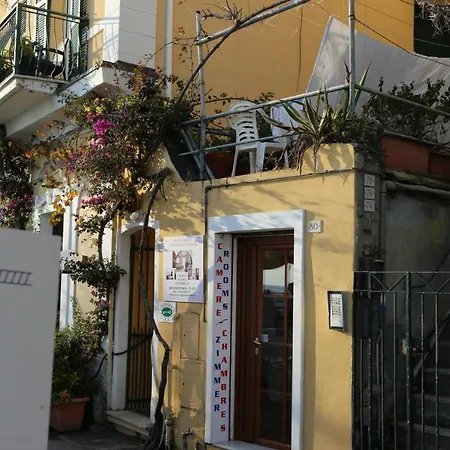 Viviani Raffaella 3*