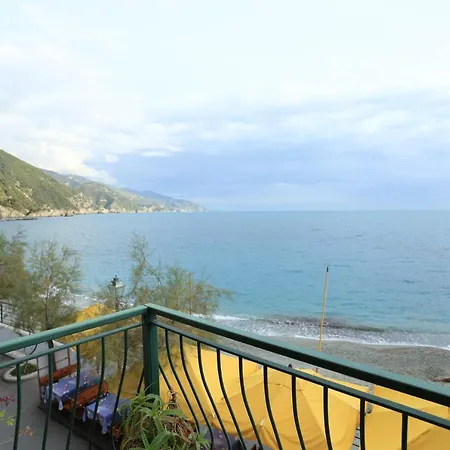 Viviani Raffaella Monterosso al Mare